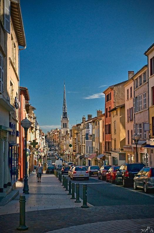 Ferienwohnung Le Cosy Shelby Proche Gare 150M Villefranche-sur-Saône Exterior foto
